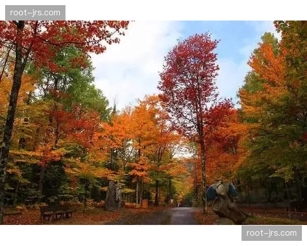 瑞士加拿大十字军团枫叶对决 扎卡中场控制面临东道主高位逼抢 瑞士加拿大十字军团枫叶对决 扎卡中场控制面临东道主高位逼抢